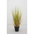 53cm grass with plastic pot