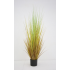 121cm grass with plastic pot