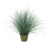 66cm grass w/metal pot