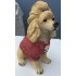 25cm Poodle with Cloth