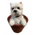 18cm Maltese Dog In Pot 