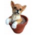 18cm Chihuahua Dog In Pot Figurine