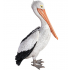 87cm Jumbo Pelican