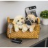 23cm Two dogs with Basket