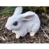 22cm White Rabbit 